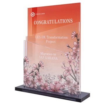 Business statuette - congratulatory - height 21cm - DTA197