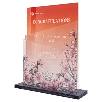 Business statuette - congratulatory - height 21cm - DTA197