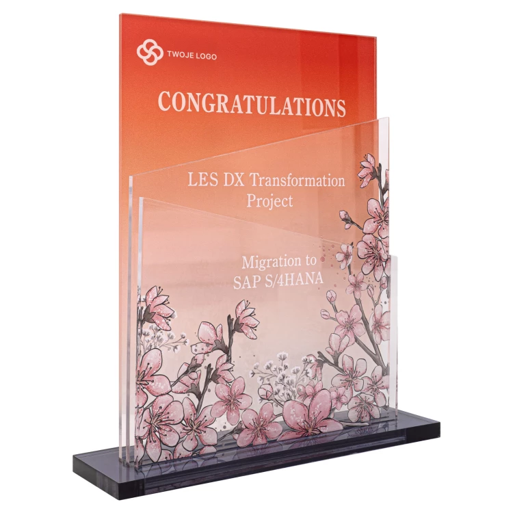 Business statuette - congratulatory - height 21cm - DTA197