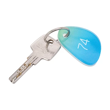 Cameo Fal acrylic key ring - UV colour print - BA043