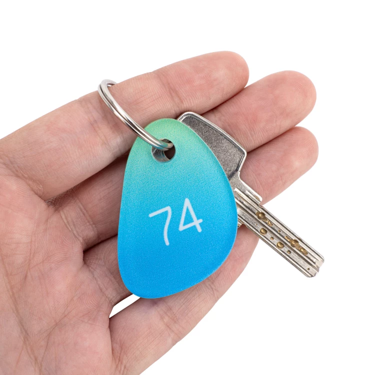 Cameo Fal acrylic key ring - UV colour print - BA043