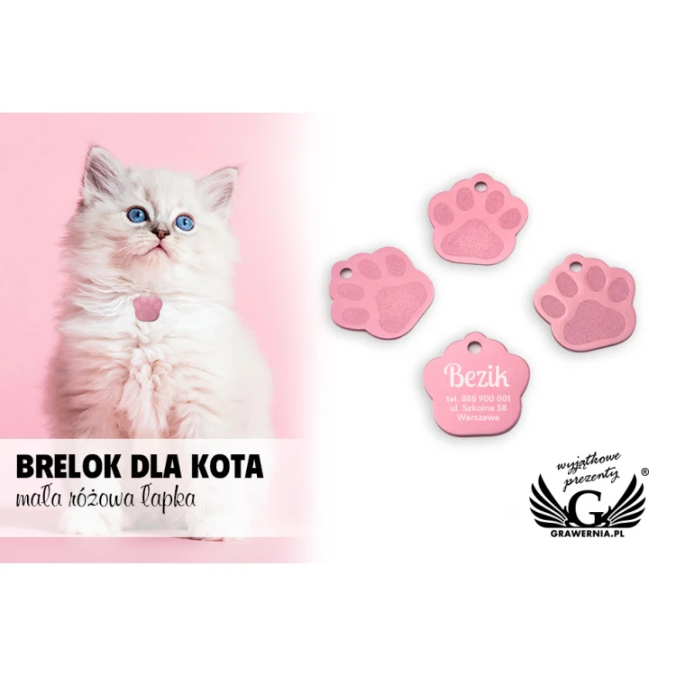 Dog and Cat Keyring - PINK SMALL PAW - BDZ006