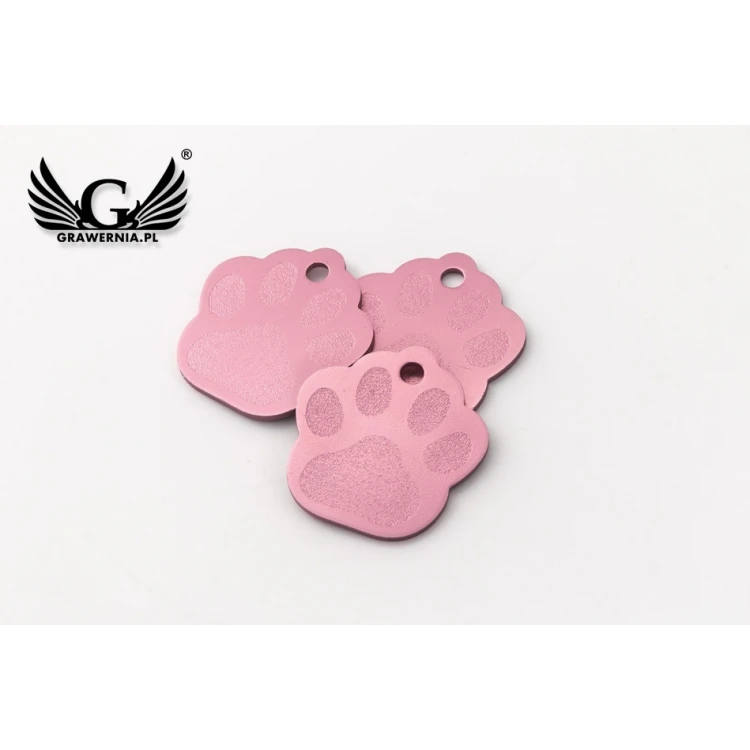 Dog and Cat Keyring - PINK SMALL PAW - BDZ006
