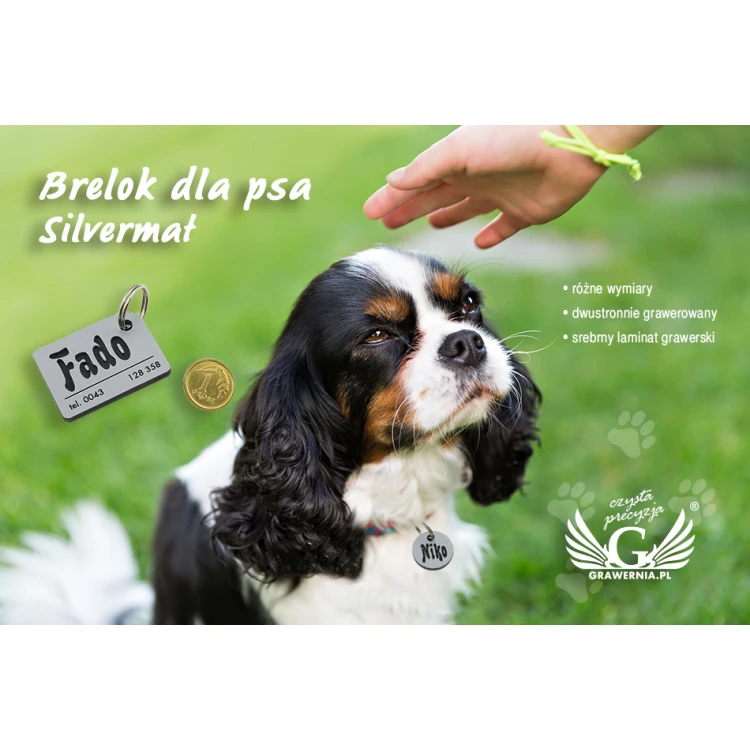 Dog Keyring - SILVERMAT - Double-sided Engraved Laminate - BDZ008