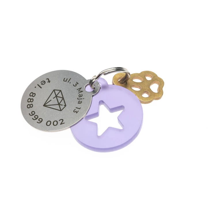 ID Tag - Premium Keychain for Dog and Cat with Your Engraving - BDZ022