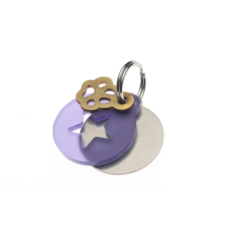 ID Tag - Premium Keychain for Dog and Cat with Your Engraving - BDZ022