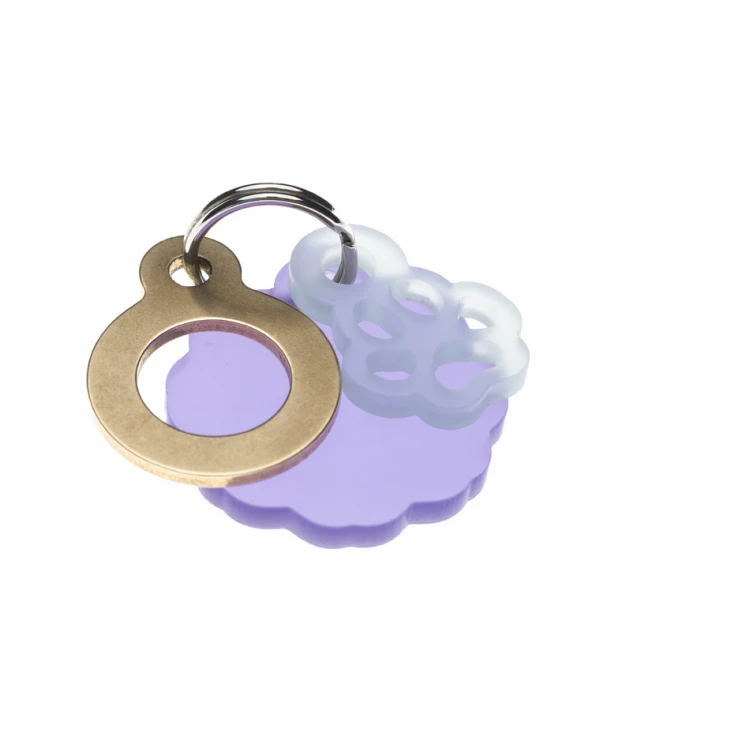 ID Tag - Premium Keychain for Dog and Cat with Your Engraving - BDZ036