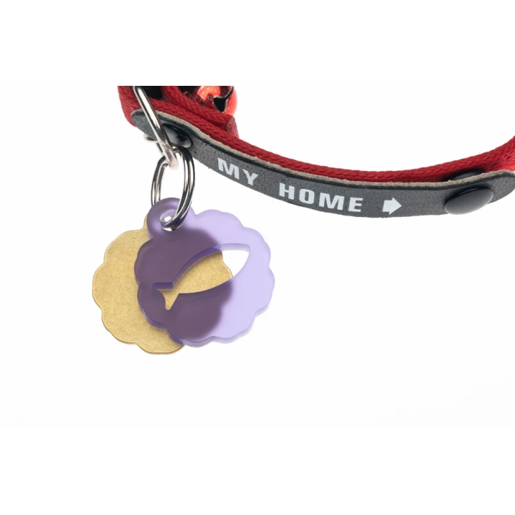 Address Tag - Premium Keyring for Dog and Cat with Your Engraving - BDZ039