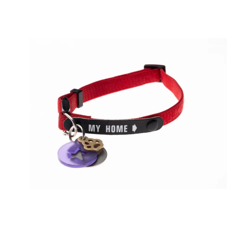 ID Tag - Premium Keychain for Dog and Cat with Your Engraving - BDZ022