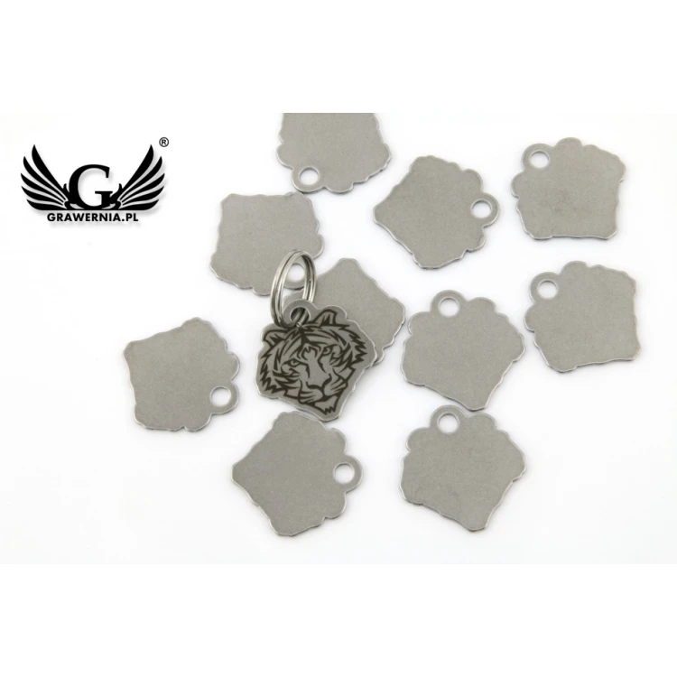 Steel Keychain for Cat - BDZ013