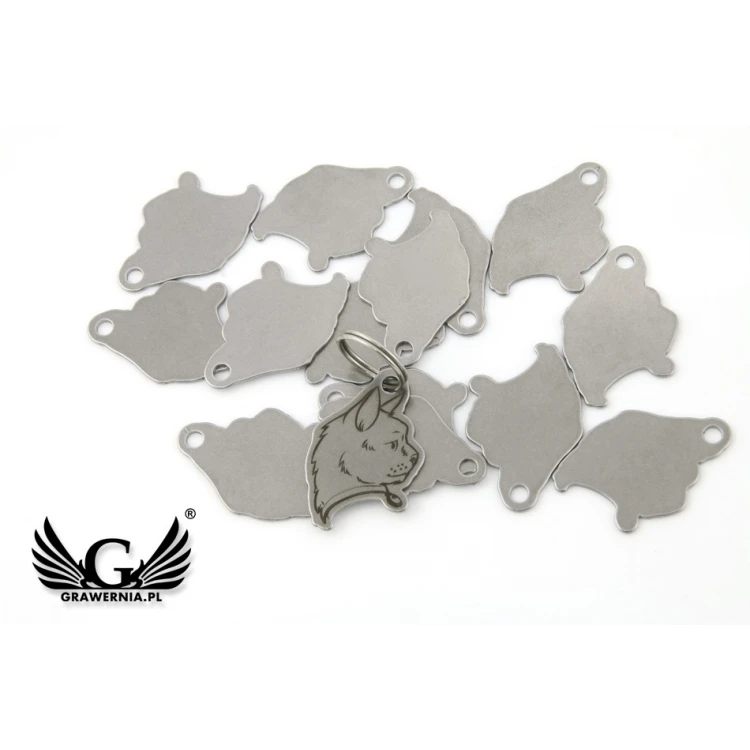 Steel Keychain for Cat - BDZ013