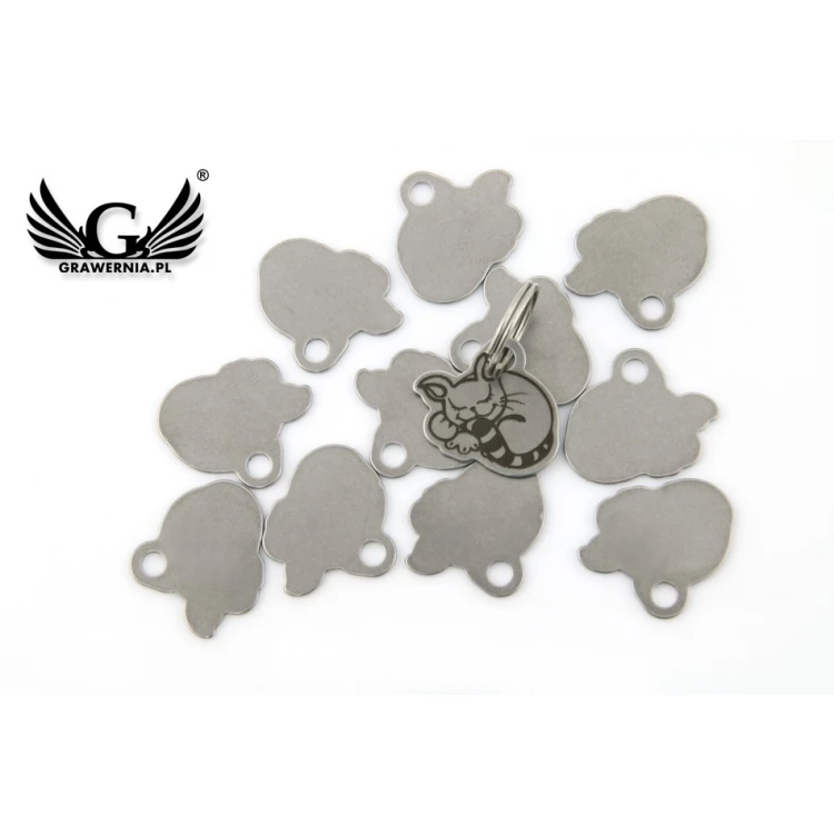 Steel Keychain for Cat - BDZ013