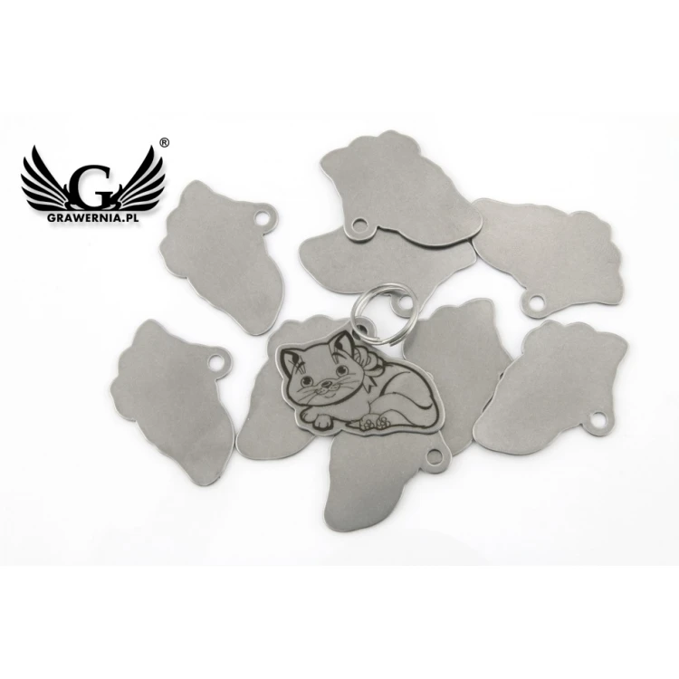 Steel Keychain for Cat - BDZ013