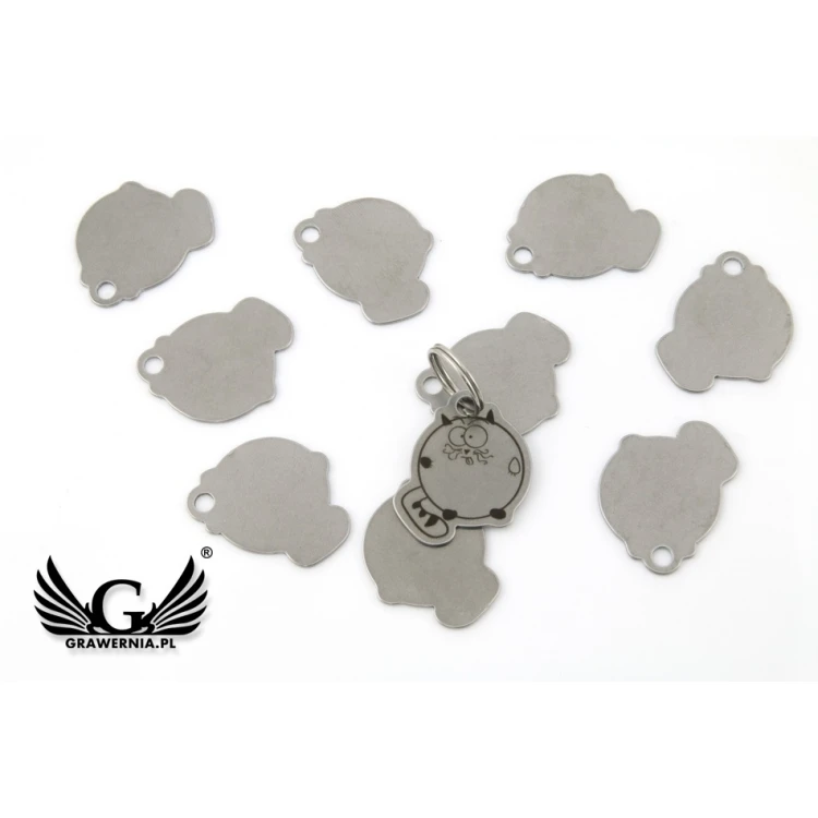 Steel Keychain for Cat - BDZ013