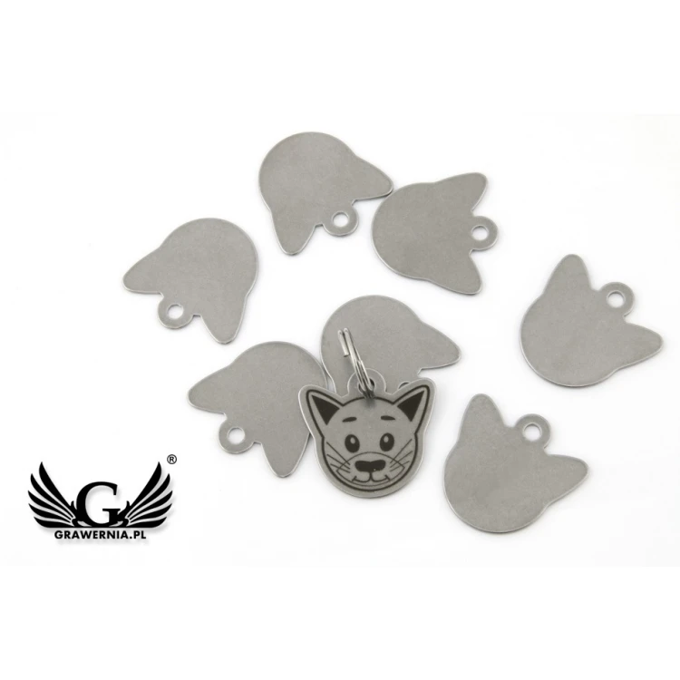 Steel Keychain for Cat - BDZ013