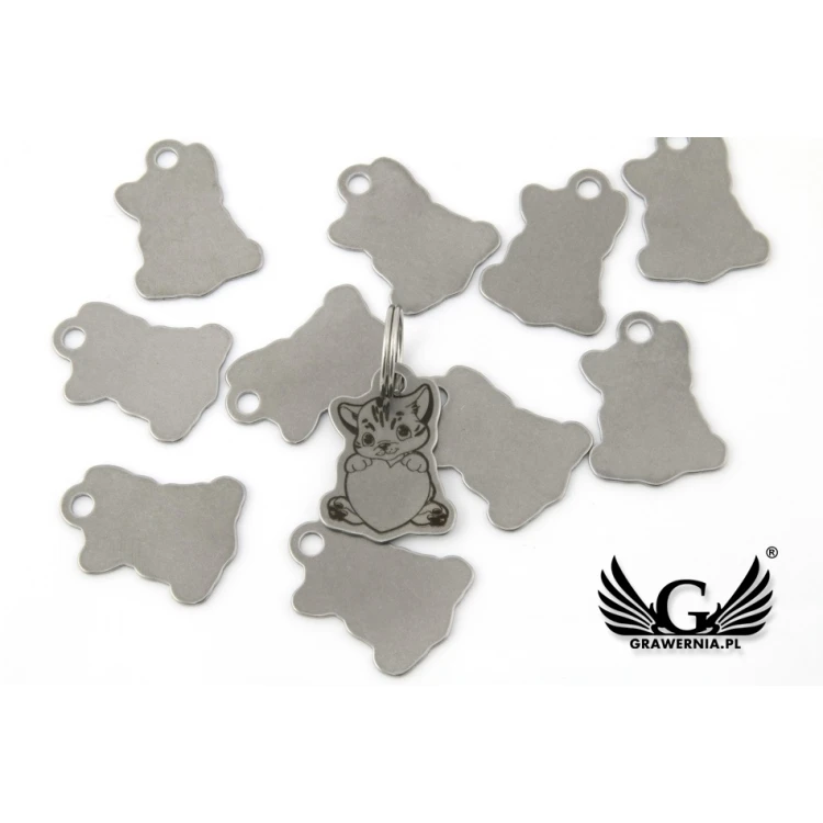Steel Keychain for Cat - BDZ013