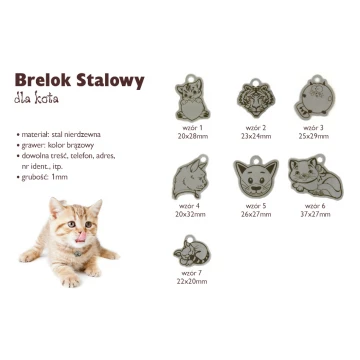 Steel Keychain for Cat - BDZ013