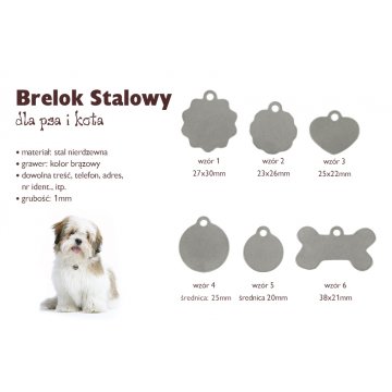 Steel Keychain for Dog and Cat - BDZ014