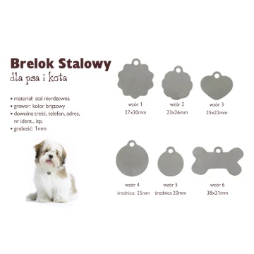 Steel Keychain for Dog and Cat - BDZ014