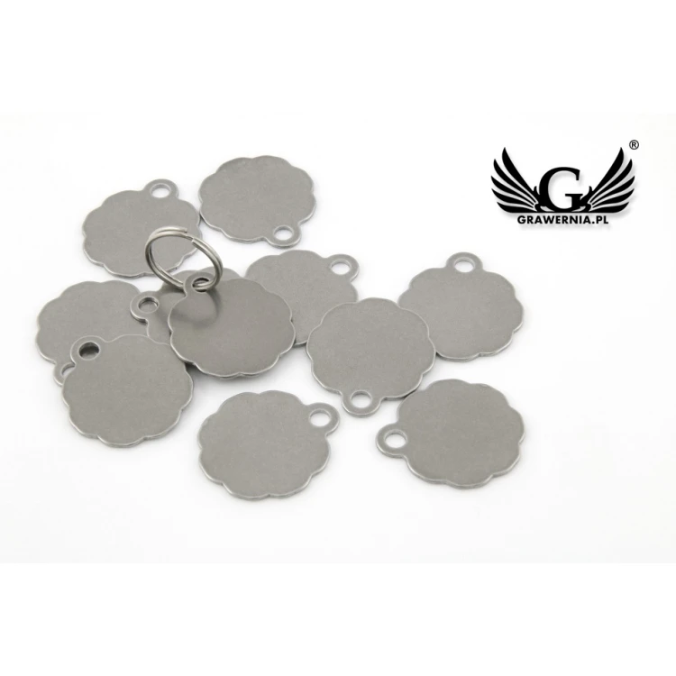 Steel Keychain for Dog and Cat - BDZ014