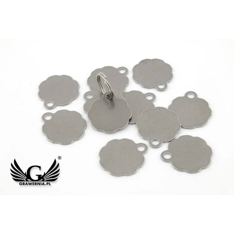 Steel Keychain for Dog and Cat - BDZ014