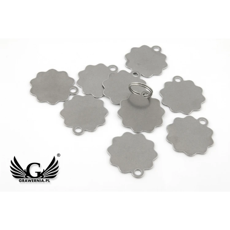 Steel Keychain for Dog and Cat - BDZ014