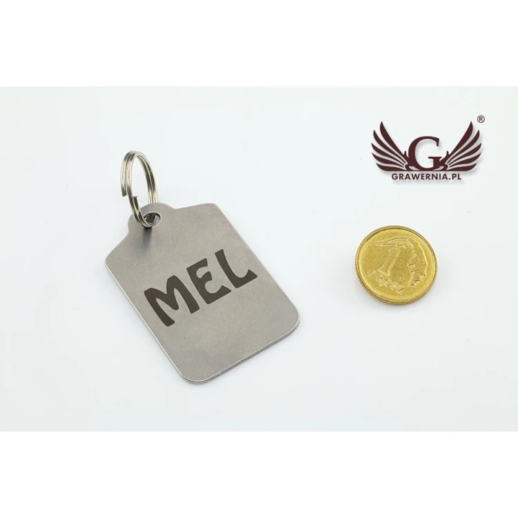 Steel Pet Tag - B1 - Double-Sided Engraved