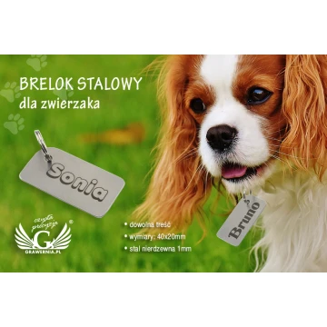 Steel Pet Tag - B2 - Double-Sided Engraved