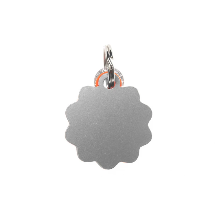 ID Tag - Premium Keyring for Dog and Cat with Your Engraving - BDZ023