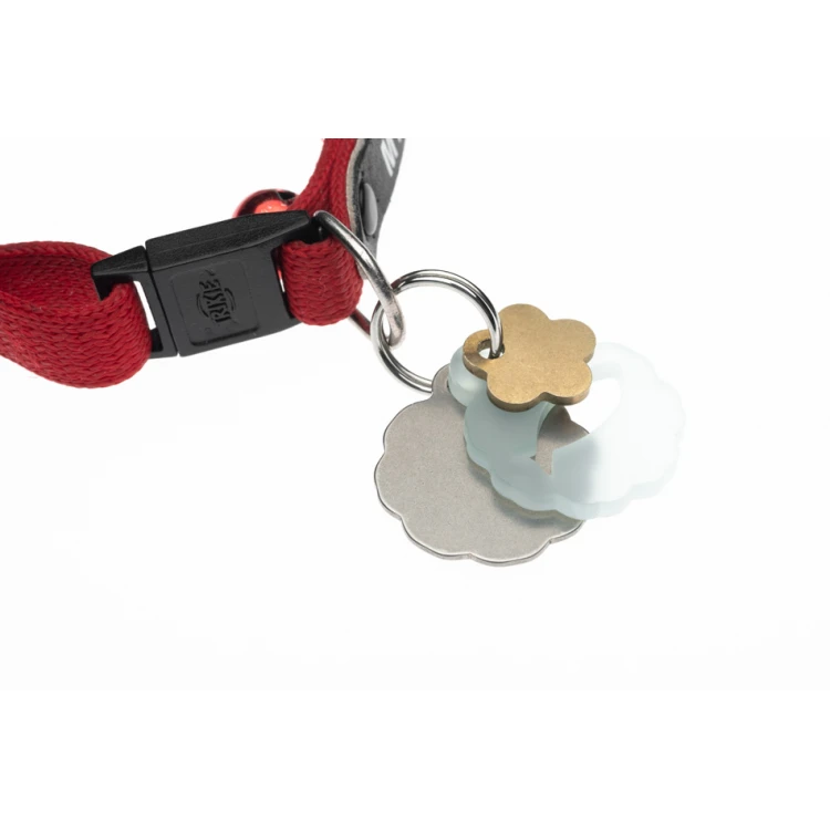 ID Tag - Premium Keyring for Dog and Cat with Your Engraving - BDZ040