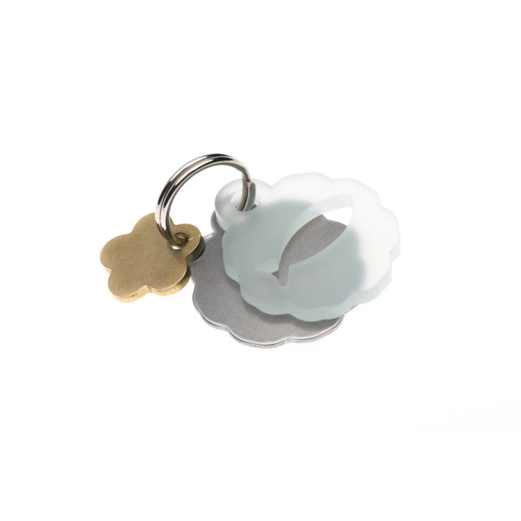 ID Tag - Premium Keyring for Dog and Cat with Your Engraving - BDZ040