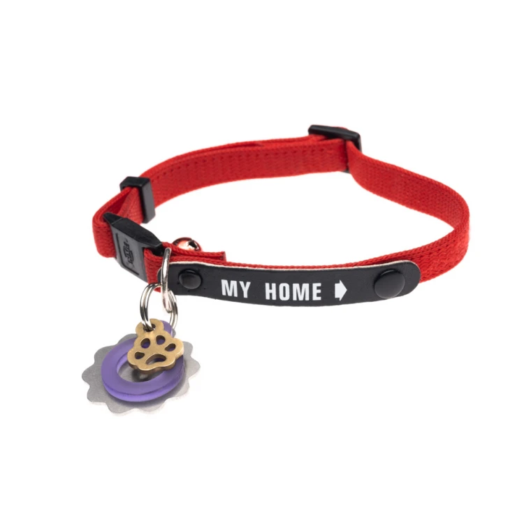ID Tag - Premium Keyring for Dog and Cat with Your Engraving - BDZ045