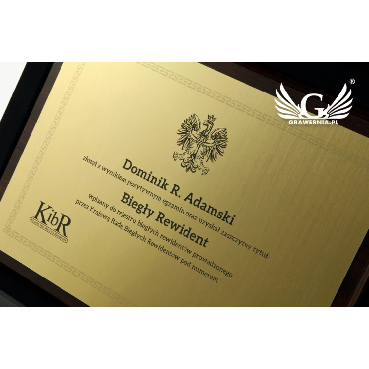 Auditor Certificate - GOLD - LEVELS - DS015