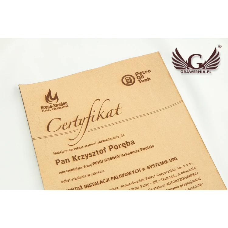Leather Certificate Bound with Thong - DSK005