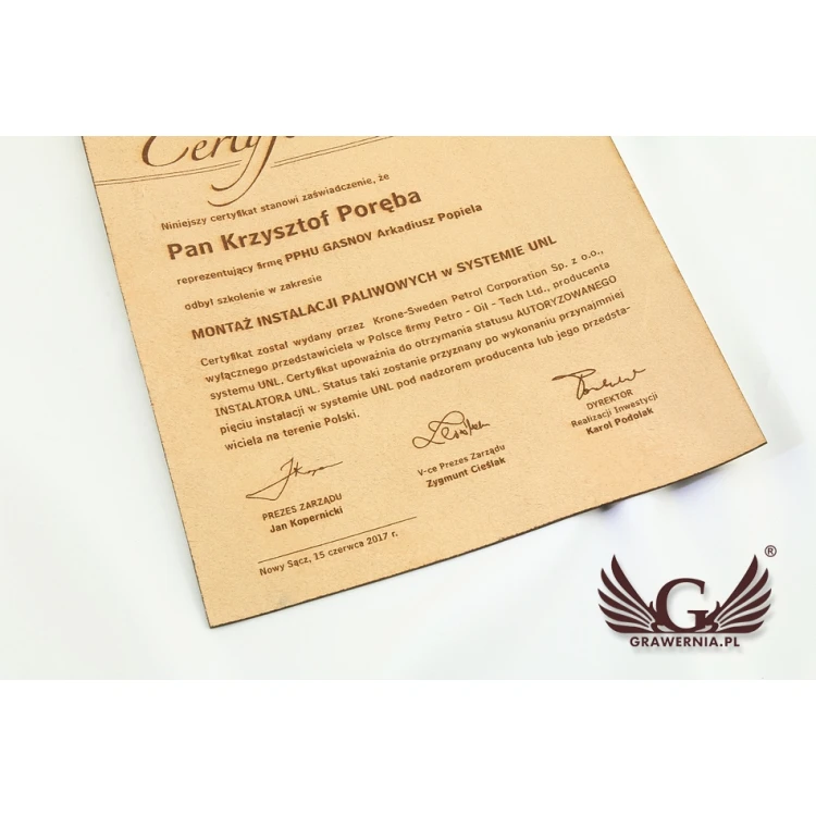 Leather Certificate Bound with Thong - DSK005