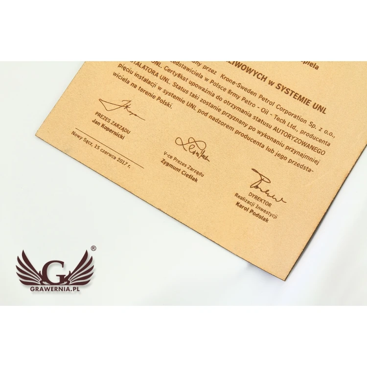Leather Certificate Bound with Thong - DSK005