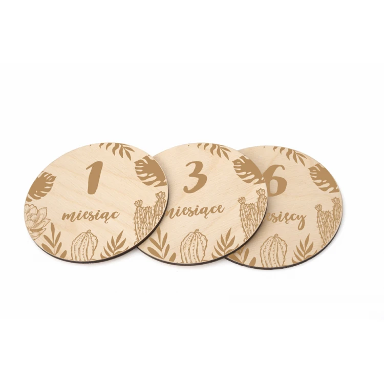 Wooden Month Plaques for Photos - Set of 13 - DT008