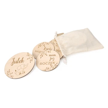 Wooden Month Plaques for Photos - Set of 13 - DT003