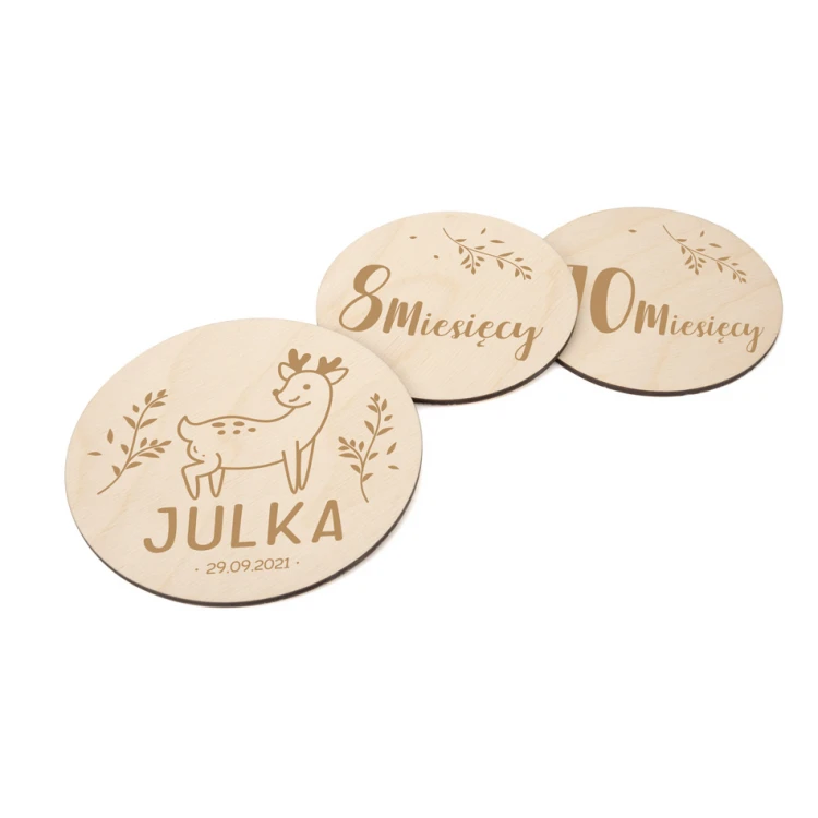 Wooden Month Plaques for Photos - Set of 13 - DT004