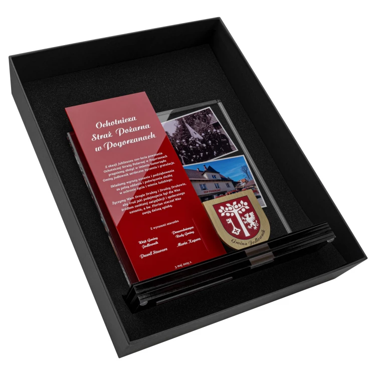 Award for TSO - UV-printed acrylic and brass statuette - H 274 mm - DTA210