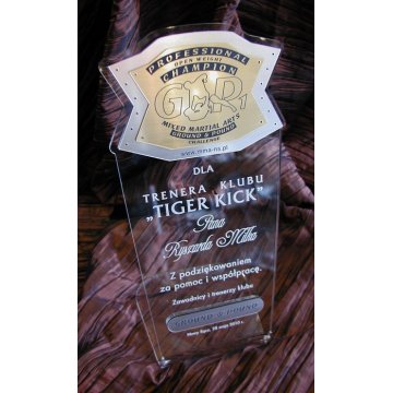LARGE TROPHY - MMA - model DTA1