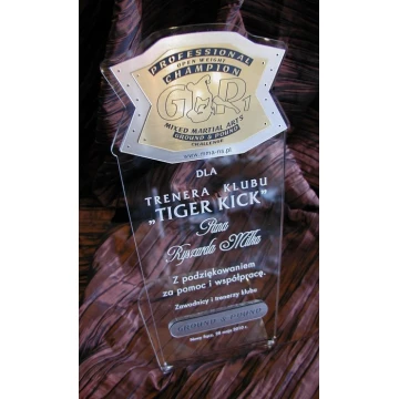 LARGE TROPHY - MMA - model DTA1