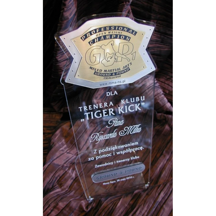 LARGE TROPHY - MMA - model DTA1