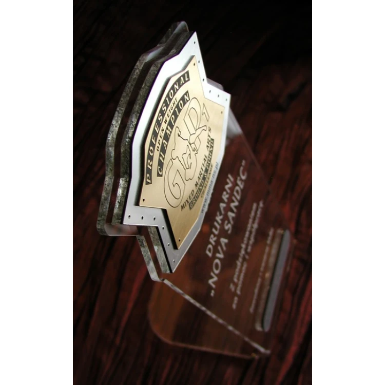 LARGE TROPHY - MMA - model DTA1