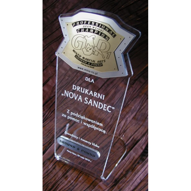 LARGE TROPHY - MMA - model DTA1