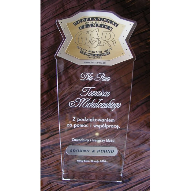LARGE TROPHY - MMA - model DTA1