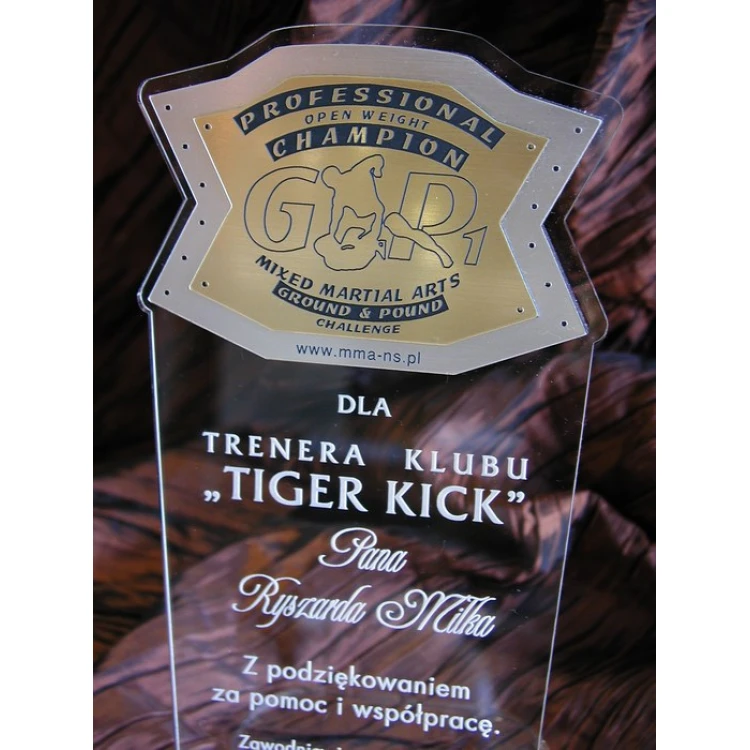 LARGE TROPHY - MMA - model DTA1
