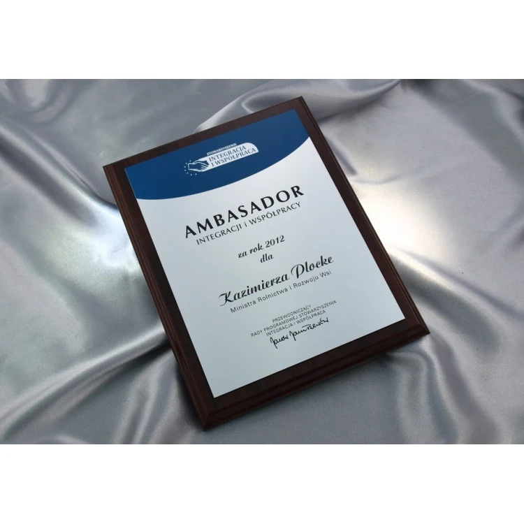 DIPLOMA BLUESILVER - SL020