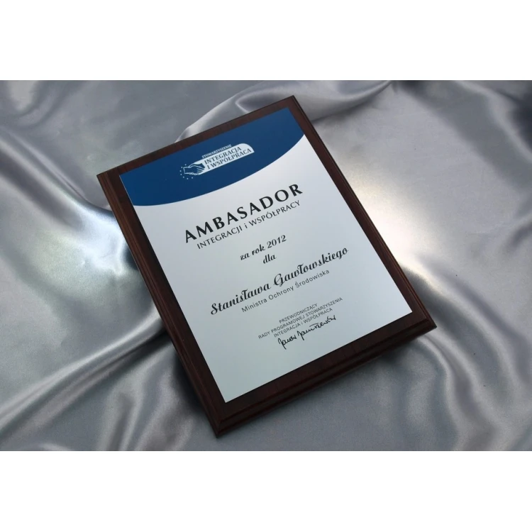 DIPLOMA BLUESILVER - SL020