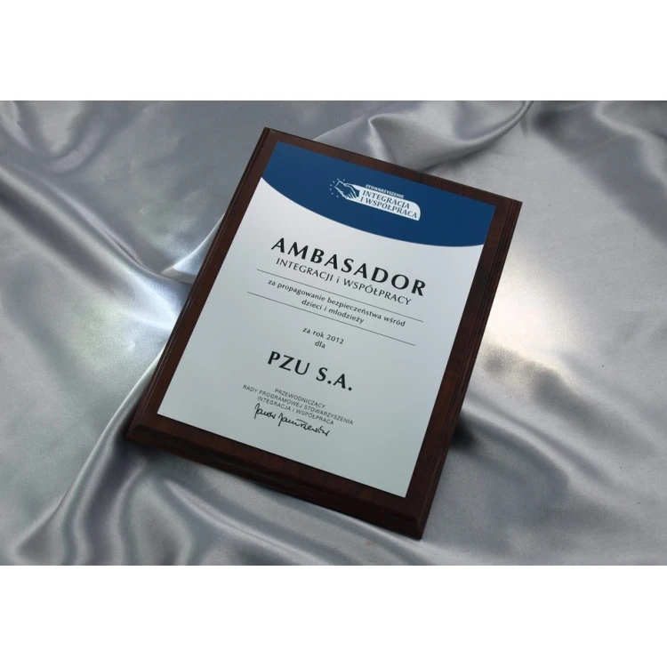 DIPLOMA BLUESILVER - SL020